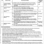 New-Latest-Jobs-in-Multan-City-e1731385077847 (1)